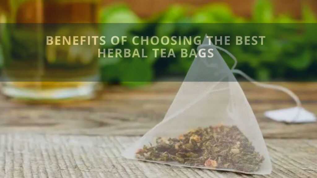 Benefits of Choosing The Best Herbal Tea Bags