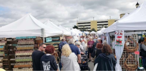 Attend These Fun Events And Festivals In Florida