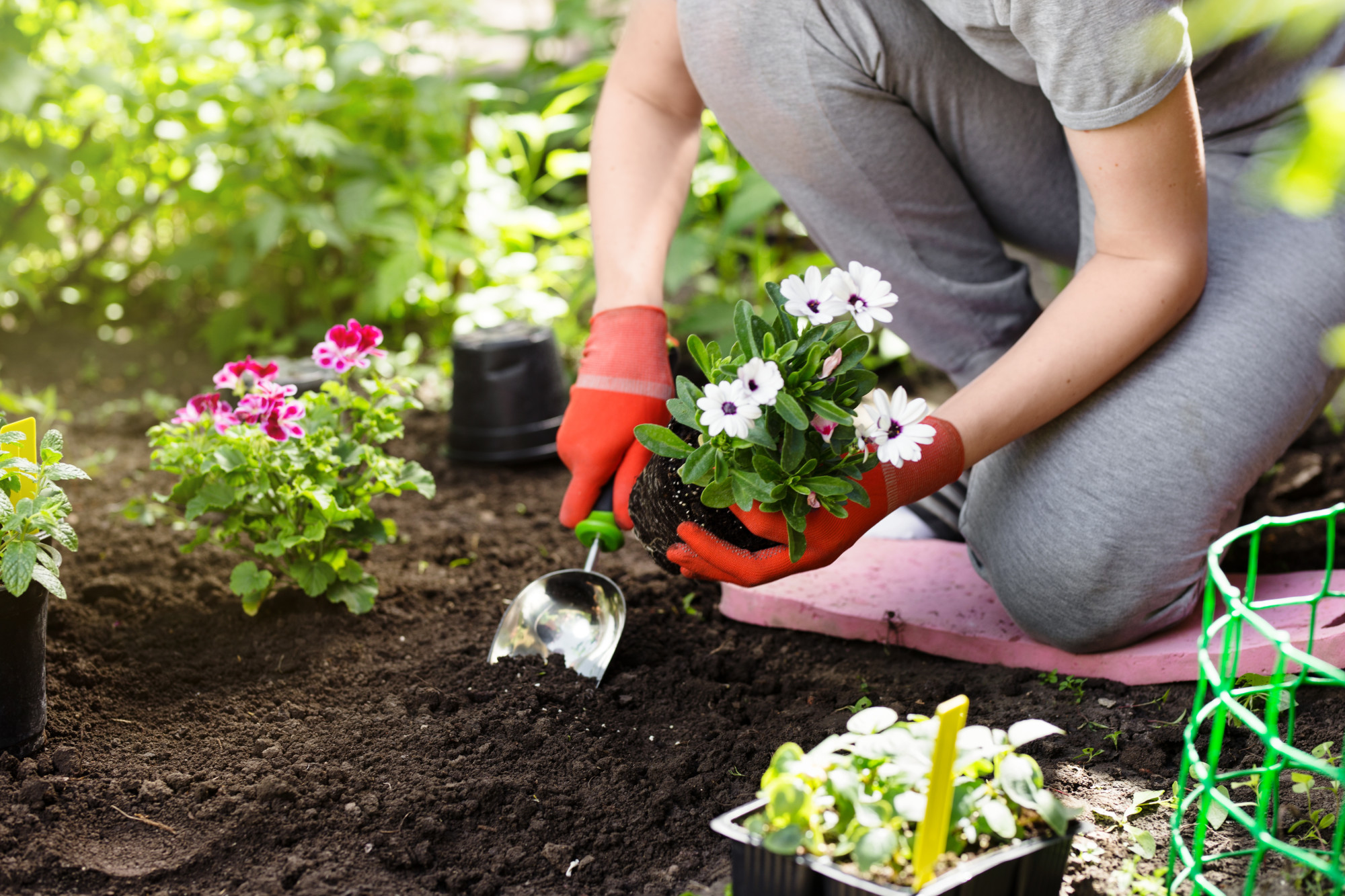 How to Maintain a Beautiful Garden - Getapkmarkets