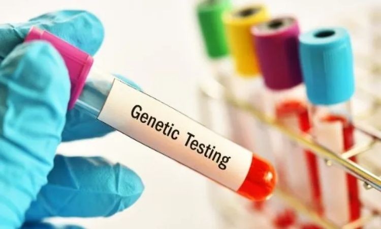 Should You Get Genetic Testing? Who Benefits Most from DNA Analysis Genetic Testing